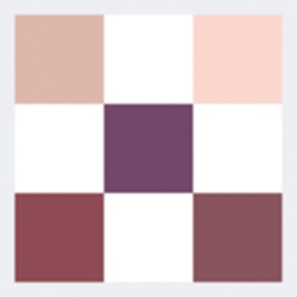 5 COULEUR EYE SHADOW (PALETA DE SOMBRAS PARA OJOS)